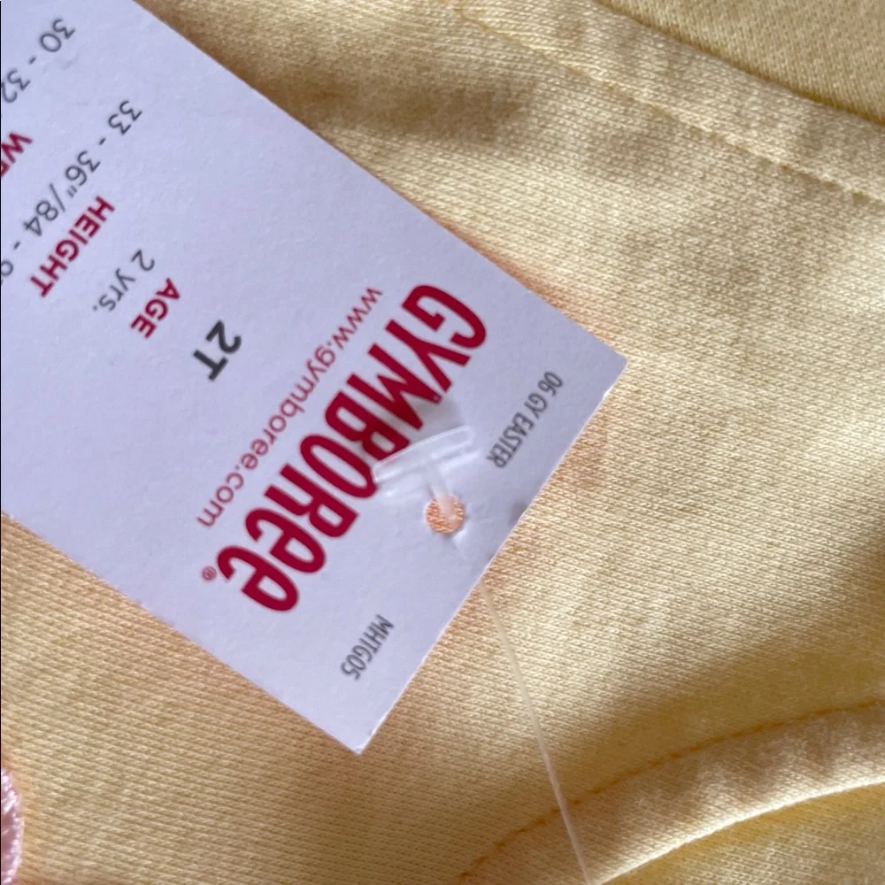 New Gymboree top